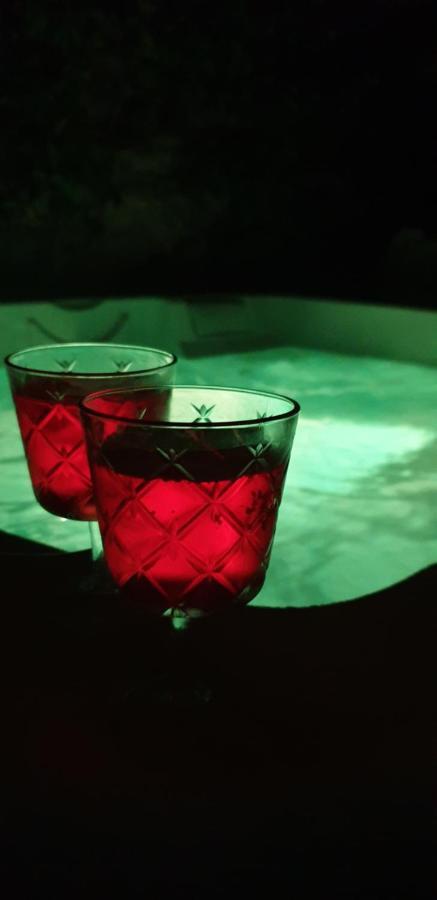 Maison De Maitre A Bram # Jacuzzi Kültér fotó